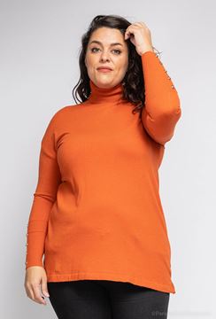 Immagine di PLUS SIZE POLO NECK